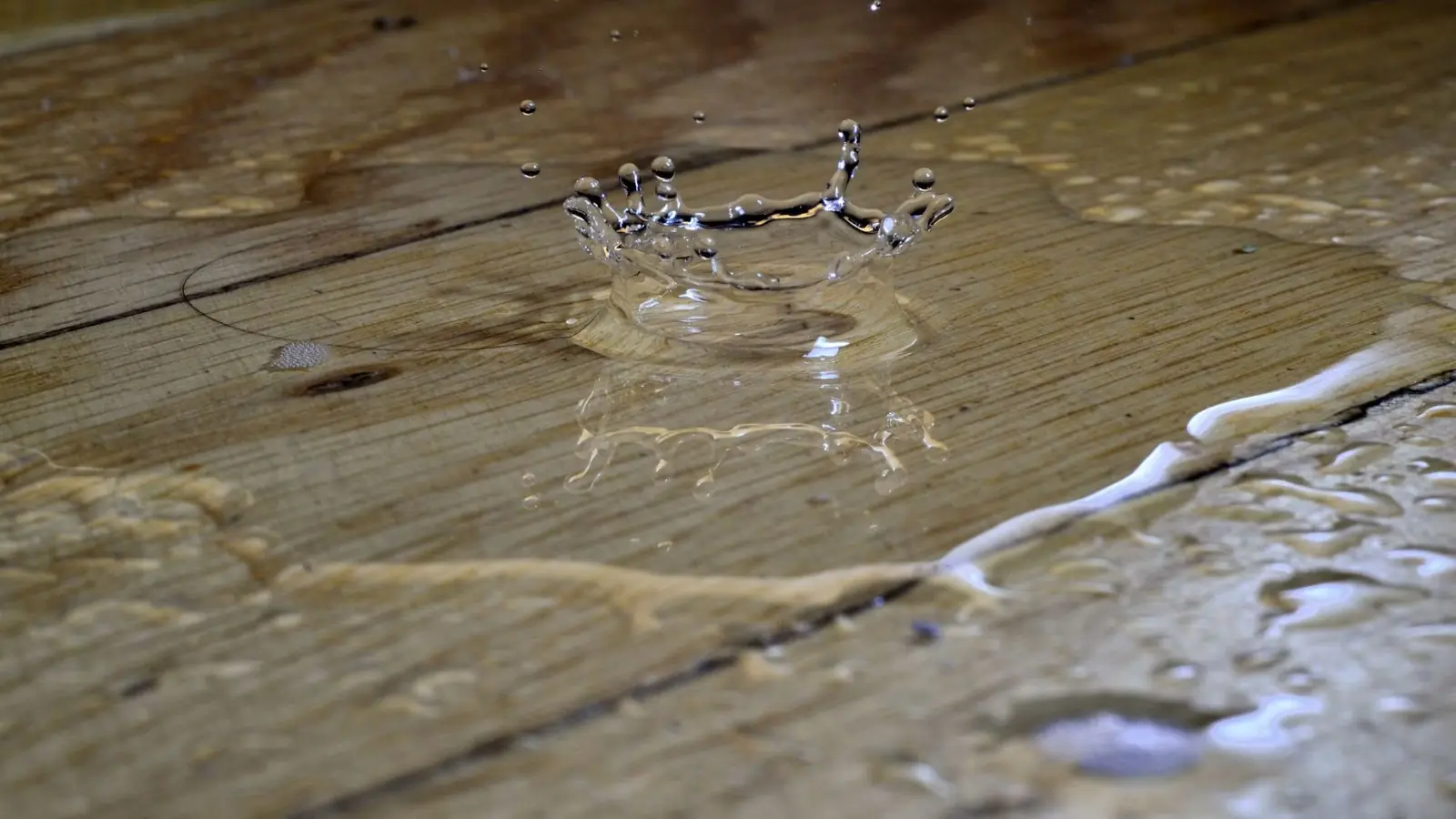 Water pooled on wood floor planks